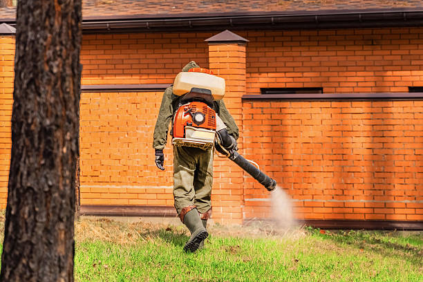 Trusted Bed Bug Control service in Bear Rocks, PA - Nex Pest Control